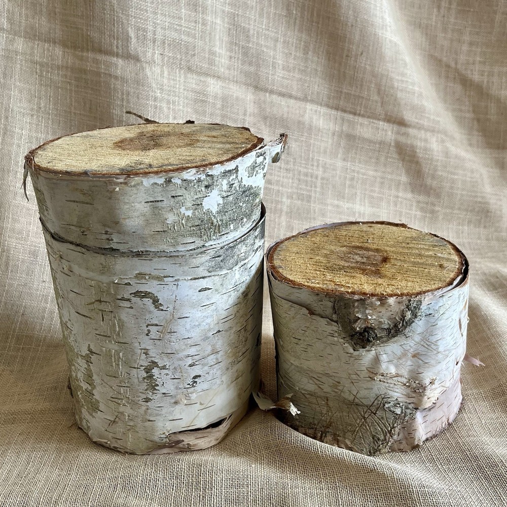 Pair White Birch Bark Tree Log Risers Stands Primitive Rustic Wedding Decor