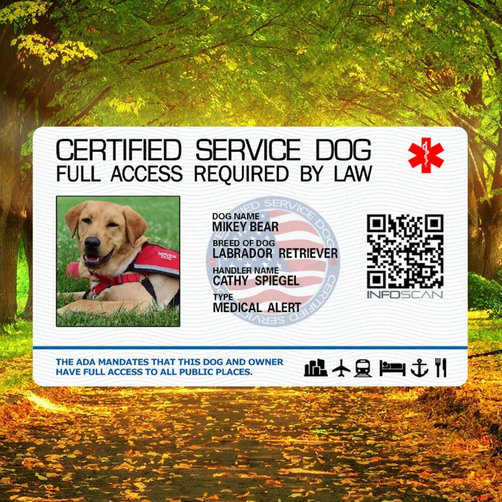 SERVICE DOG ID CARD FOR SERVICE ANIMAL PROFESSIONAL RATED 10