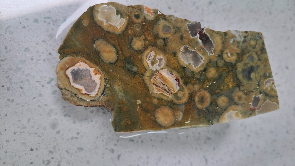 Rain Forest Jasper Rough