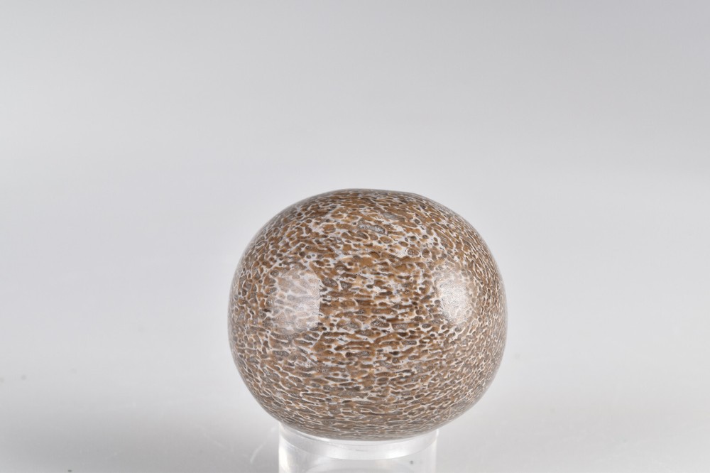 Dinosaur Bone Sphere from Morocco 4.3 cm # 21232