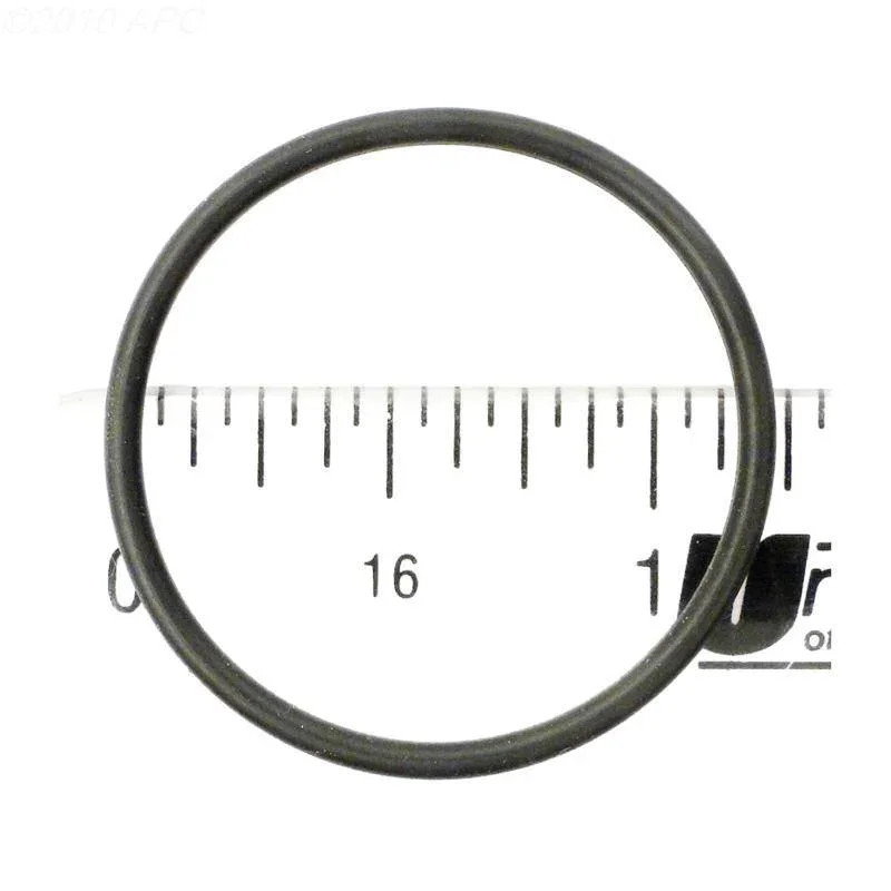 O-Ring, Feed Pipe Assembly