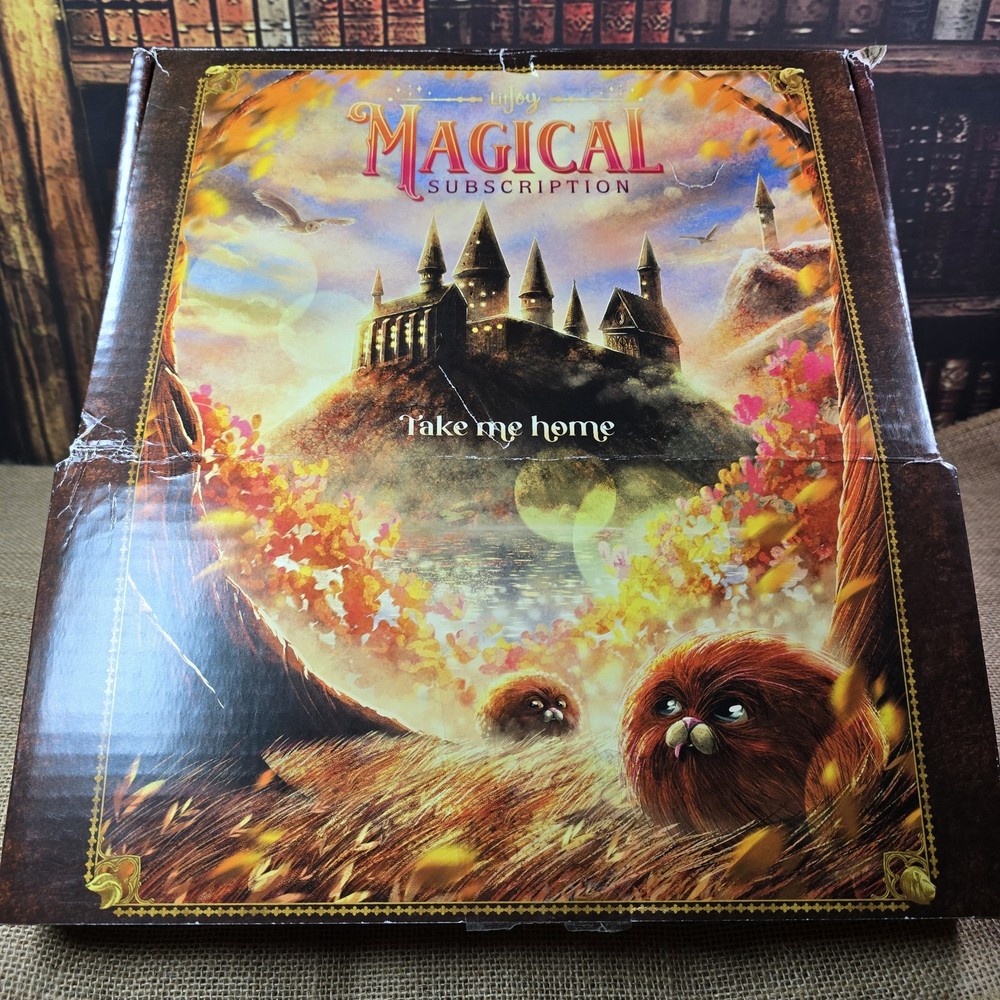**EMPTY** Litjoy Magical Take Me Home Subscription Box for Artwork & Storage
