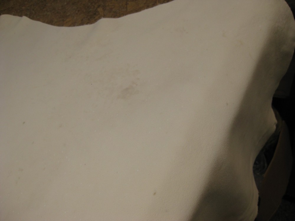 Deer Split White # 0018882 Row 157