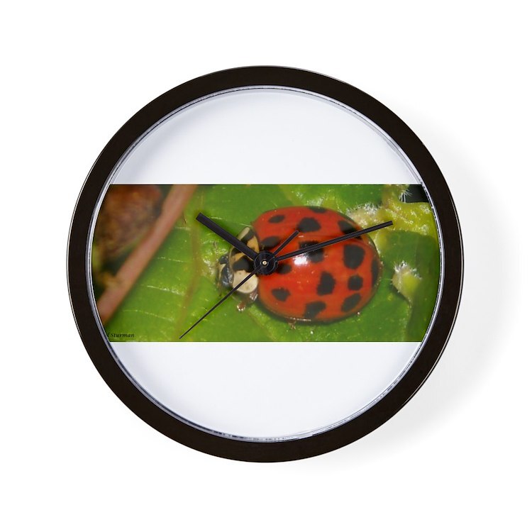 CafePress Ladybug On Leaf 10" Wall Clock (484130662)
