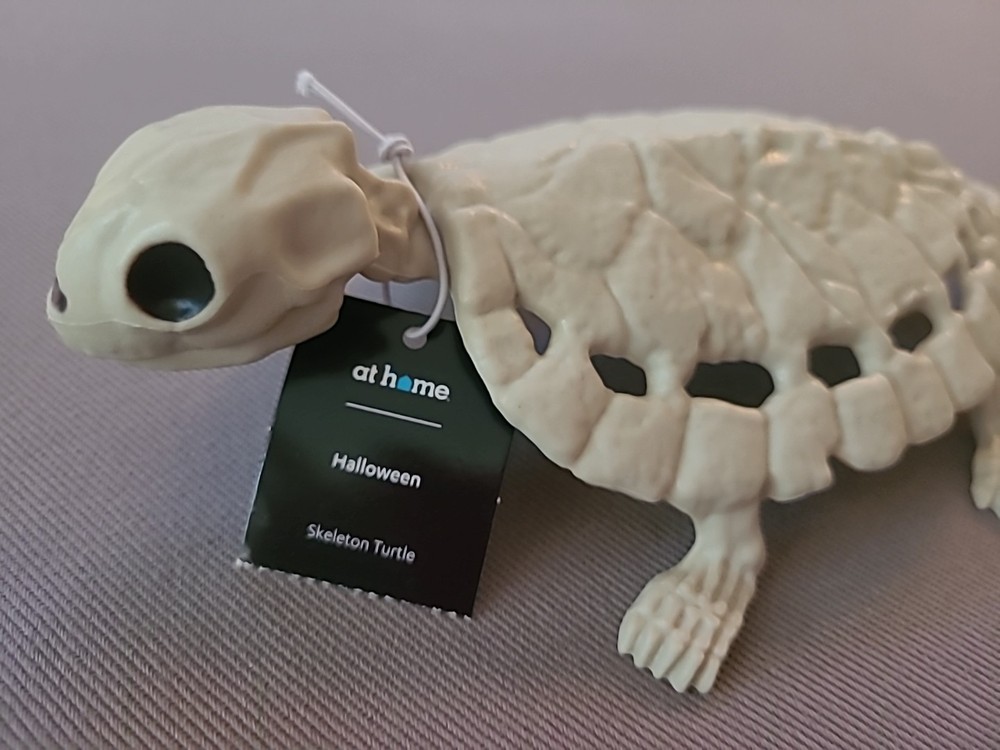 8" Skeleton Turtle Prop