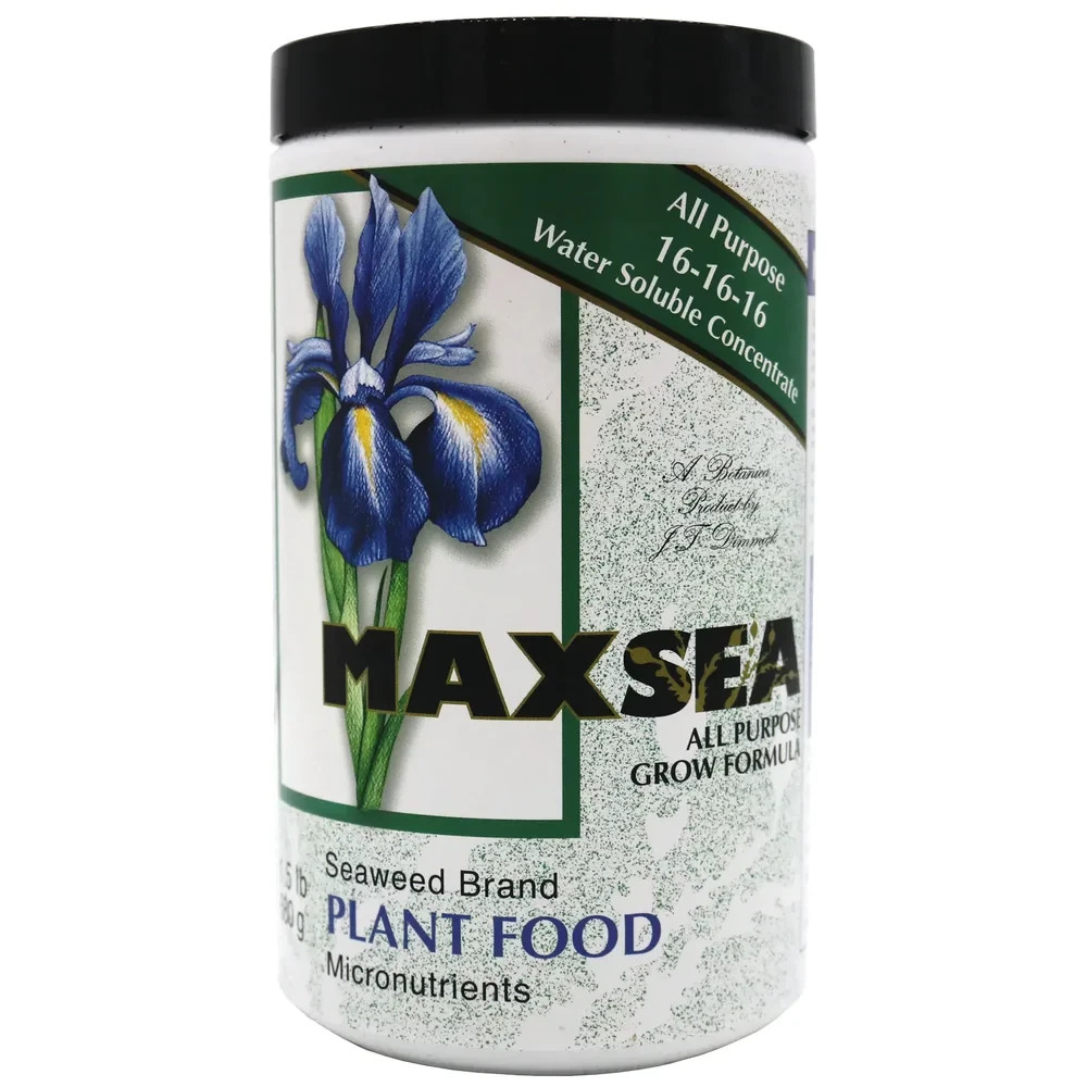 Maxsea 16-16-16 ALL PURPOSE Plant Food Water Soluble Seaweed nutrients