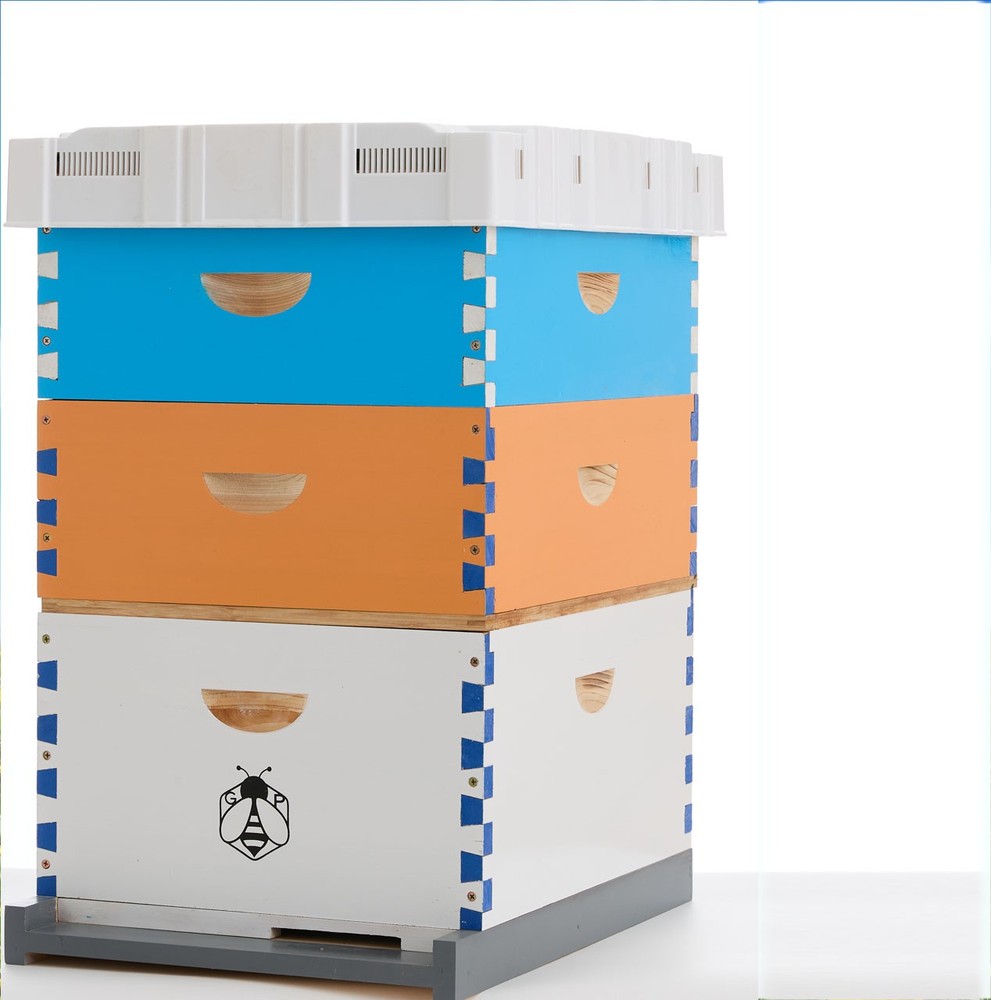 10 Frame Langstroth Bee Hive Coated Bee Painting Includes 30X Beehive Frames