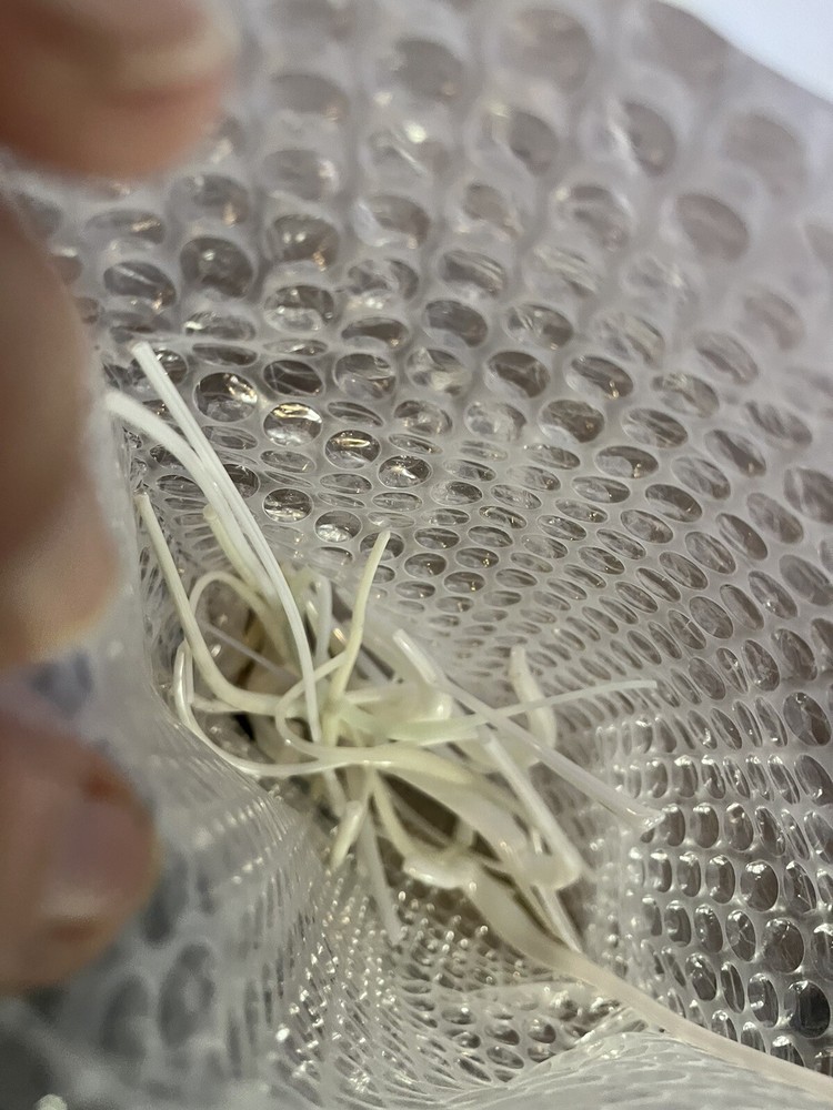 Vitrigraph Pulls Glass Coe 90