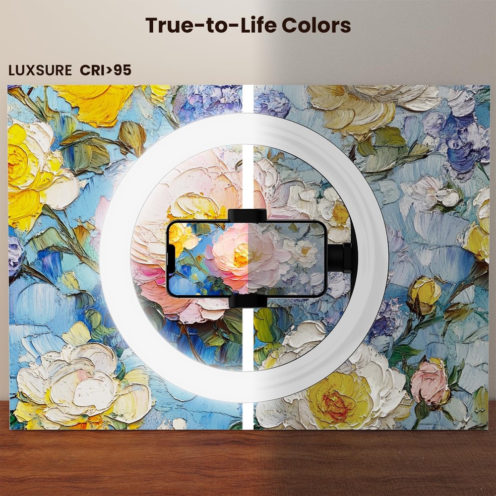 Overhead Mount for Desk Tripod - 10" Ring Light with Stand - Solid Ring Light...