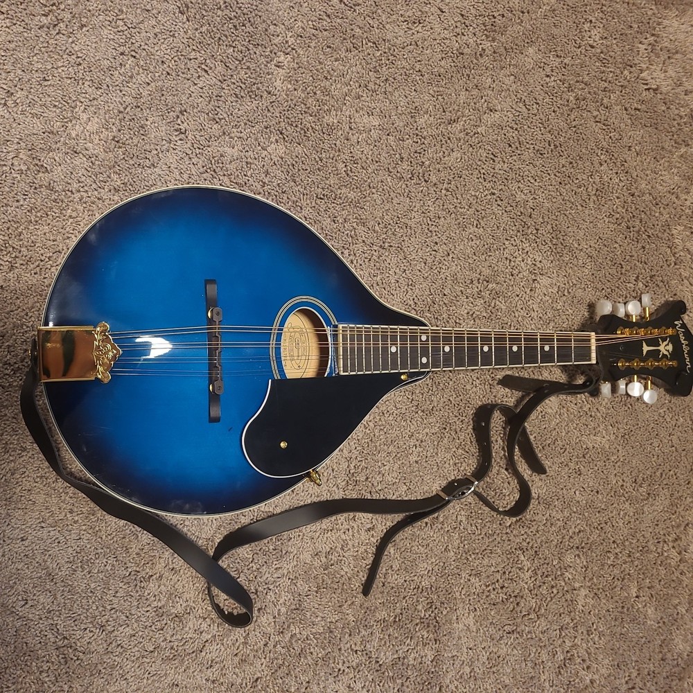Washburn M1SDLTBL-A Mandolin with Case, 8 string