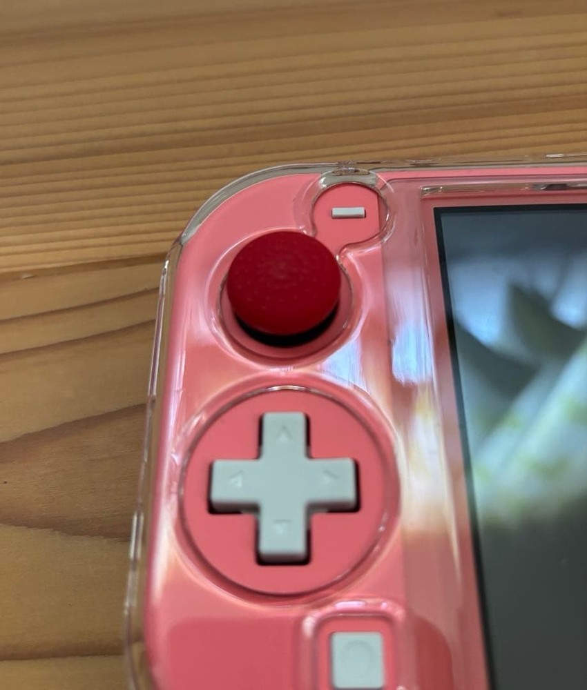 Nintendo Switch Lite Console
