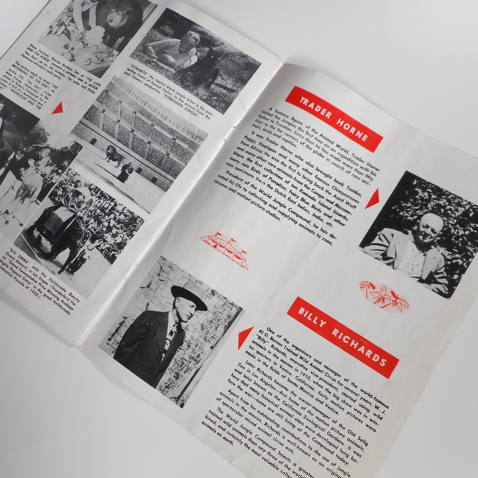 VTG 1953 Jungle Land World Compound Program Mabel Stark CA MGM Circus Lions RARE