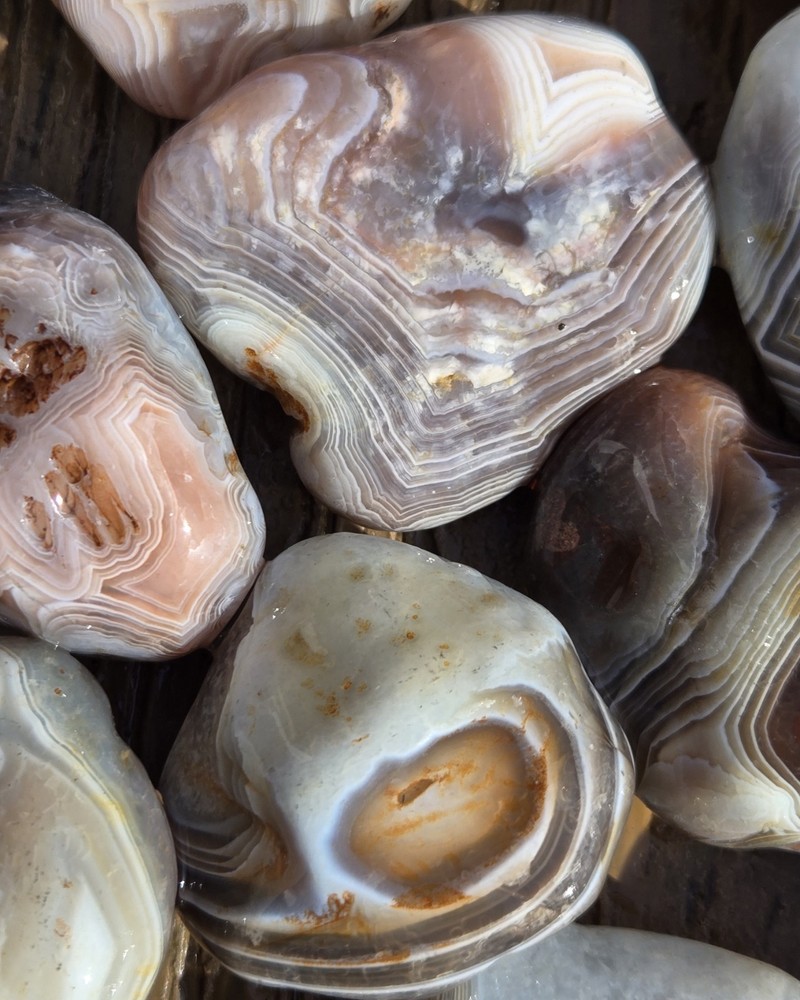 Botswana Agate Selects - WILD ONES - Rough, Natural, Not Polished A+ Grade