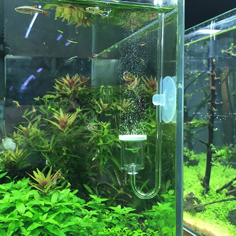 Fish Tank Aerators Aquarium Accessory Accessories Hydroponic Oxygen Diffuser