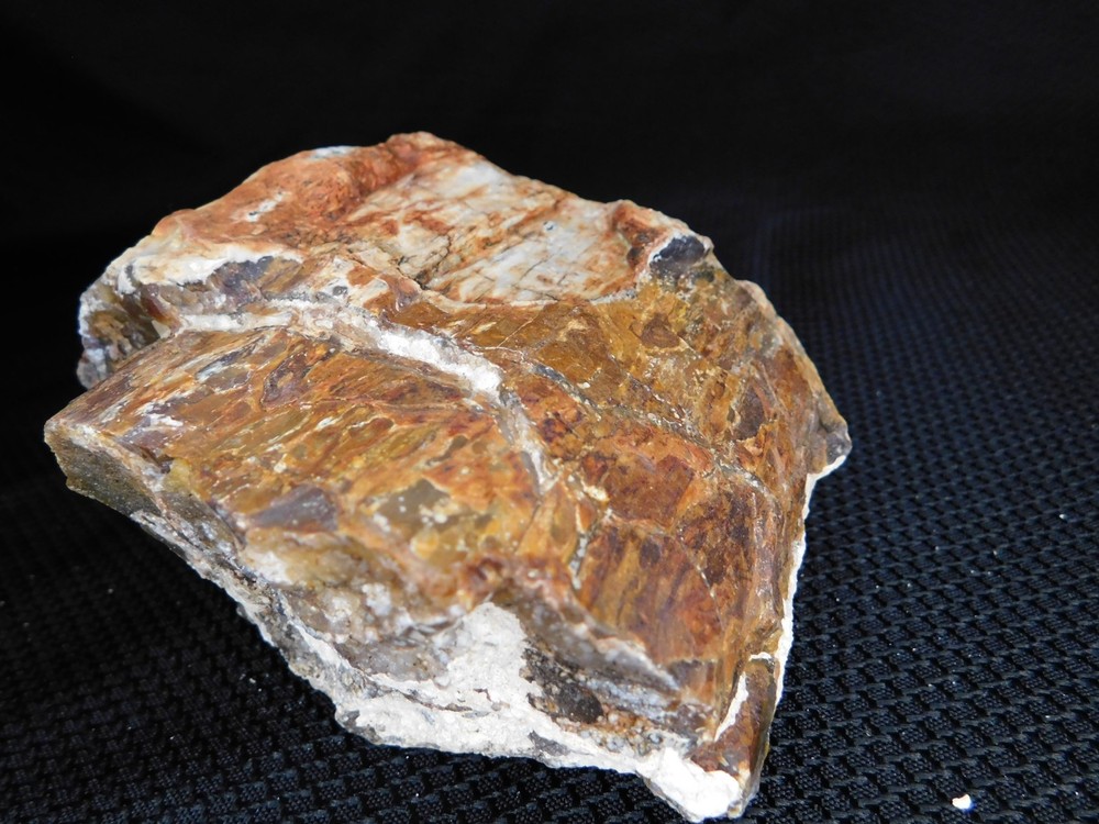 Translucent Agatized and Opalized Limb Cast Central WA Vintage 2 lbs. 14oz