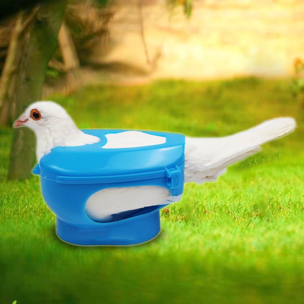 Plastic Holder For Injection Feeding Fixed Mount Bird Supply(blue)♡
