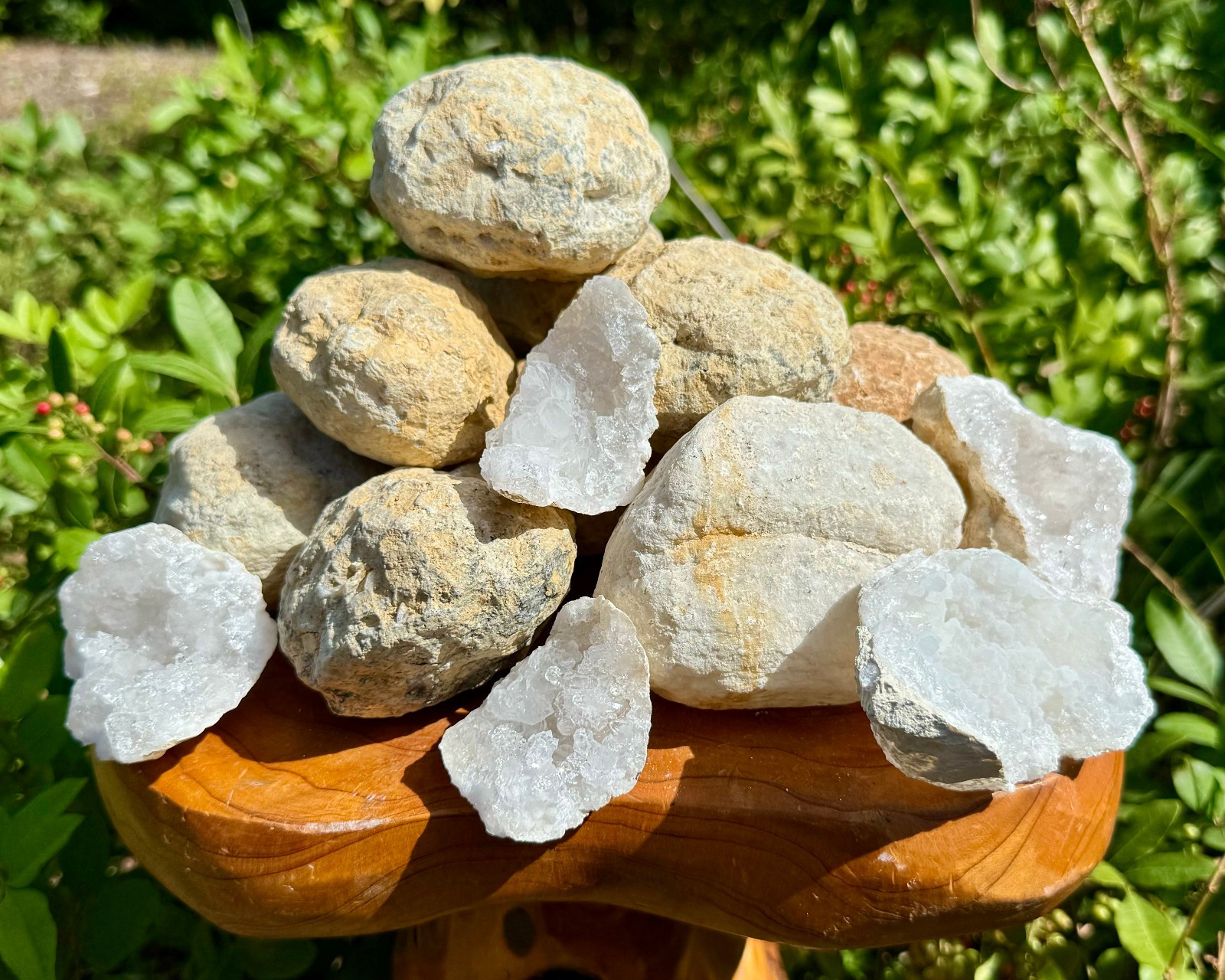 Fossil & Mineral Gift Box - Ammonite, Trilobite, Shark Tooth, Fulgurite & More!