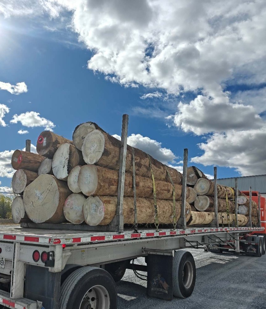 PLASTIC LOG TAGS -FORESTRY SUPPLY-Cold Weather Resistant 2 boxes per order