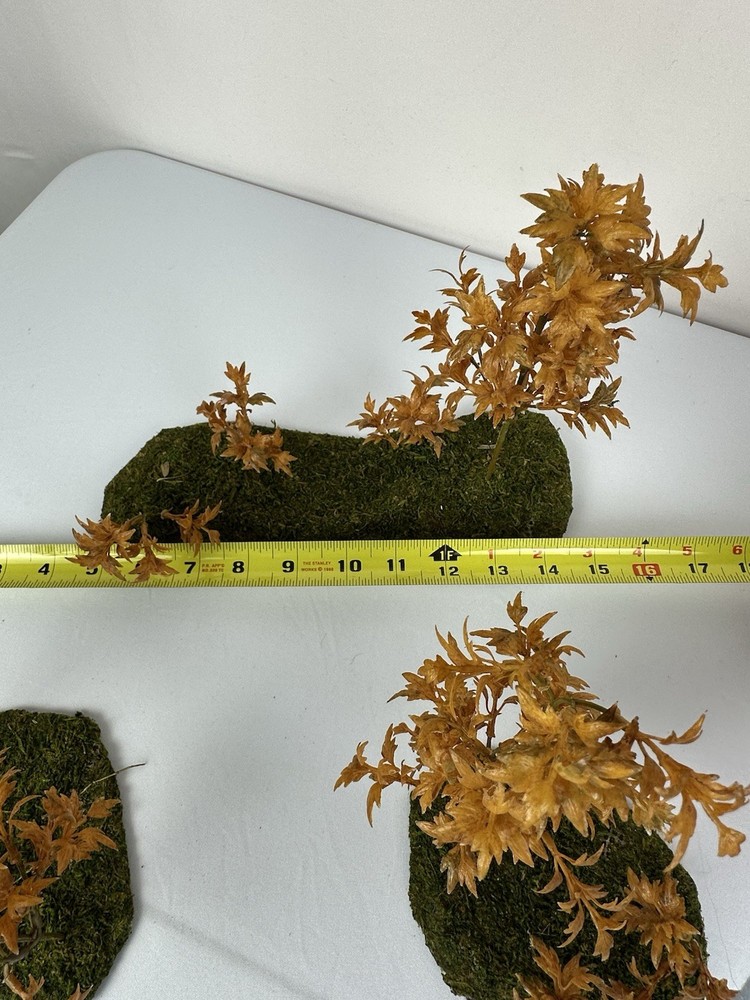 RPG Tabletop Warhammer 40k DnD Lot Terrain Trees