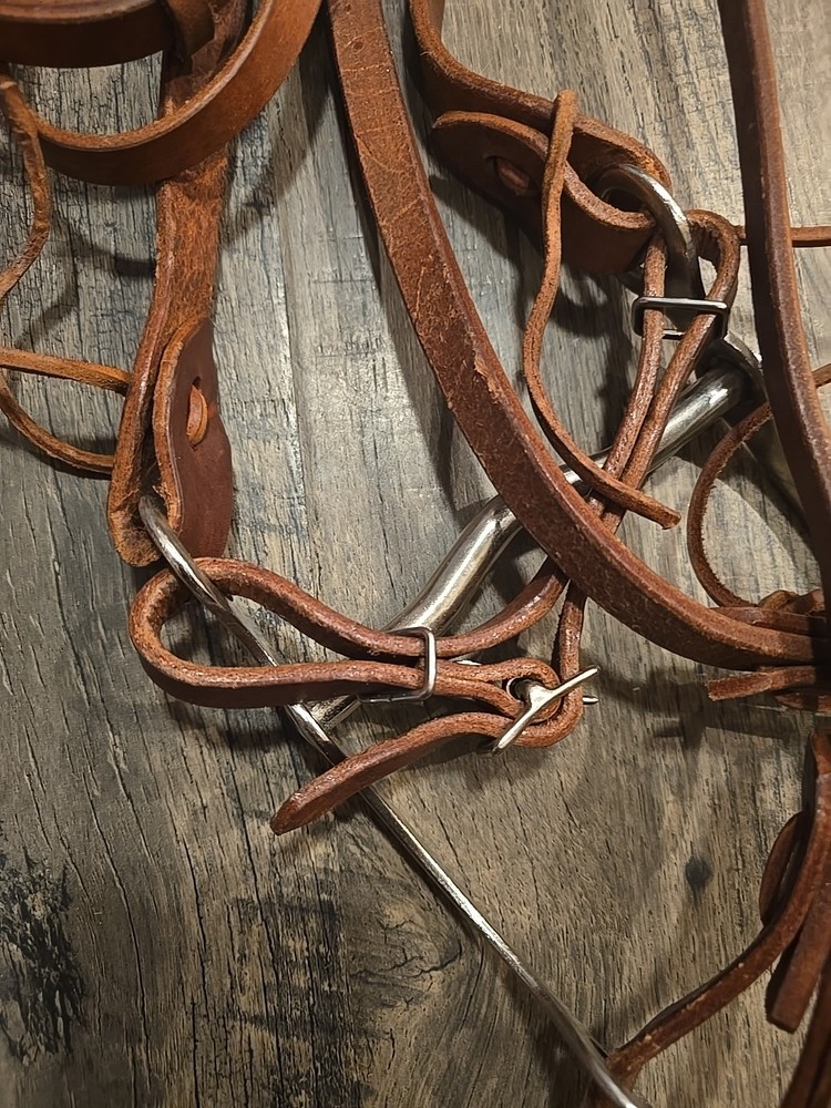 western bridle and reins