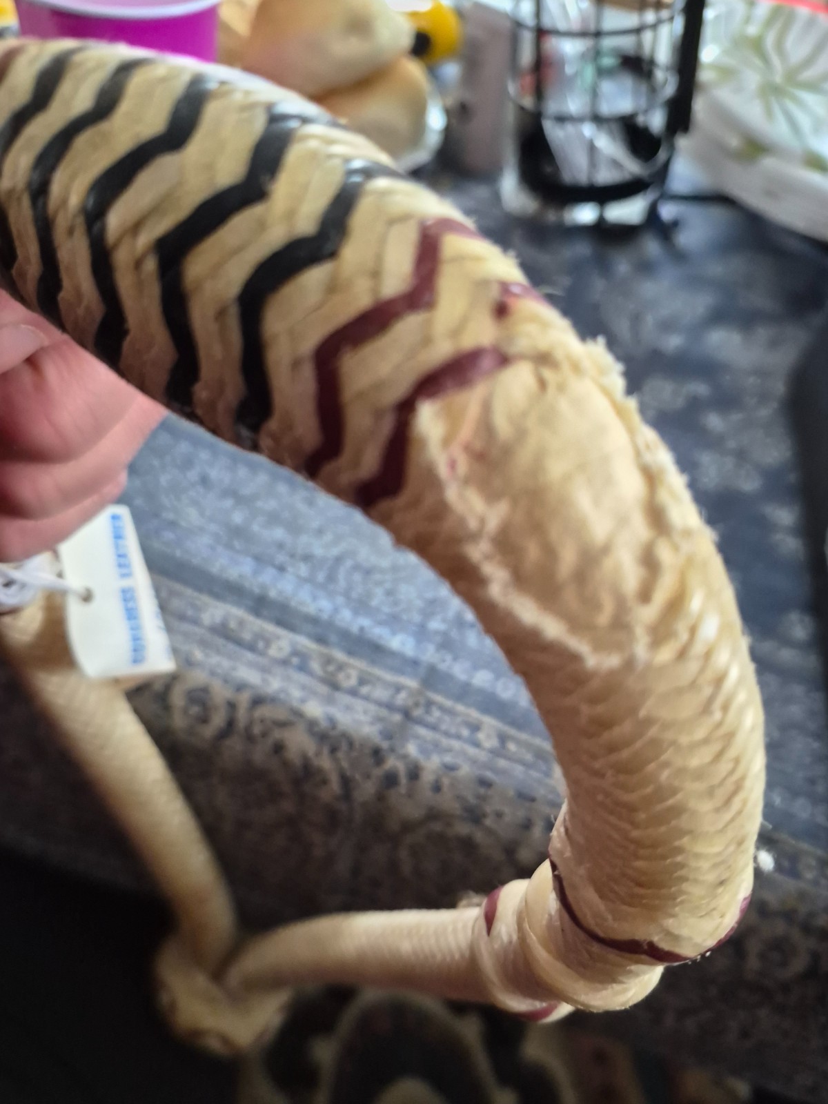 Beautiful older rawhide bosal never used two spots have mice damage still good