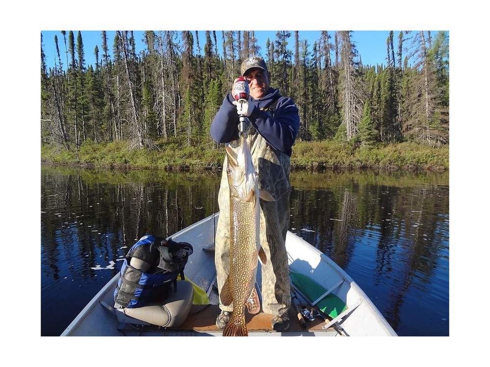 BogaGrip - 60 lb.