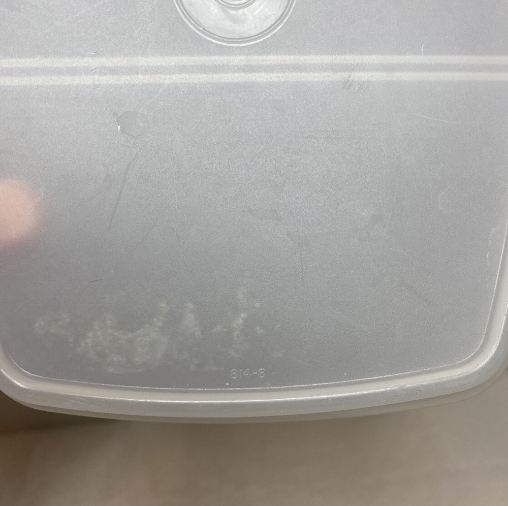 Tupperware Divided Packette Lid 814-8 Clear/Sheer REPLACEMENT LID Vintage READ