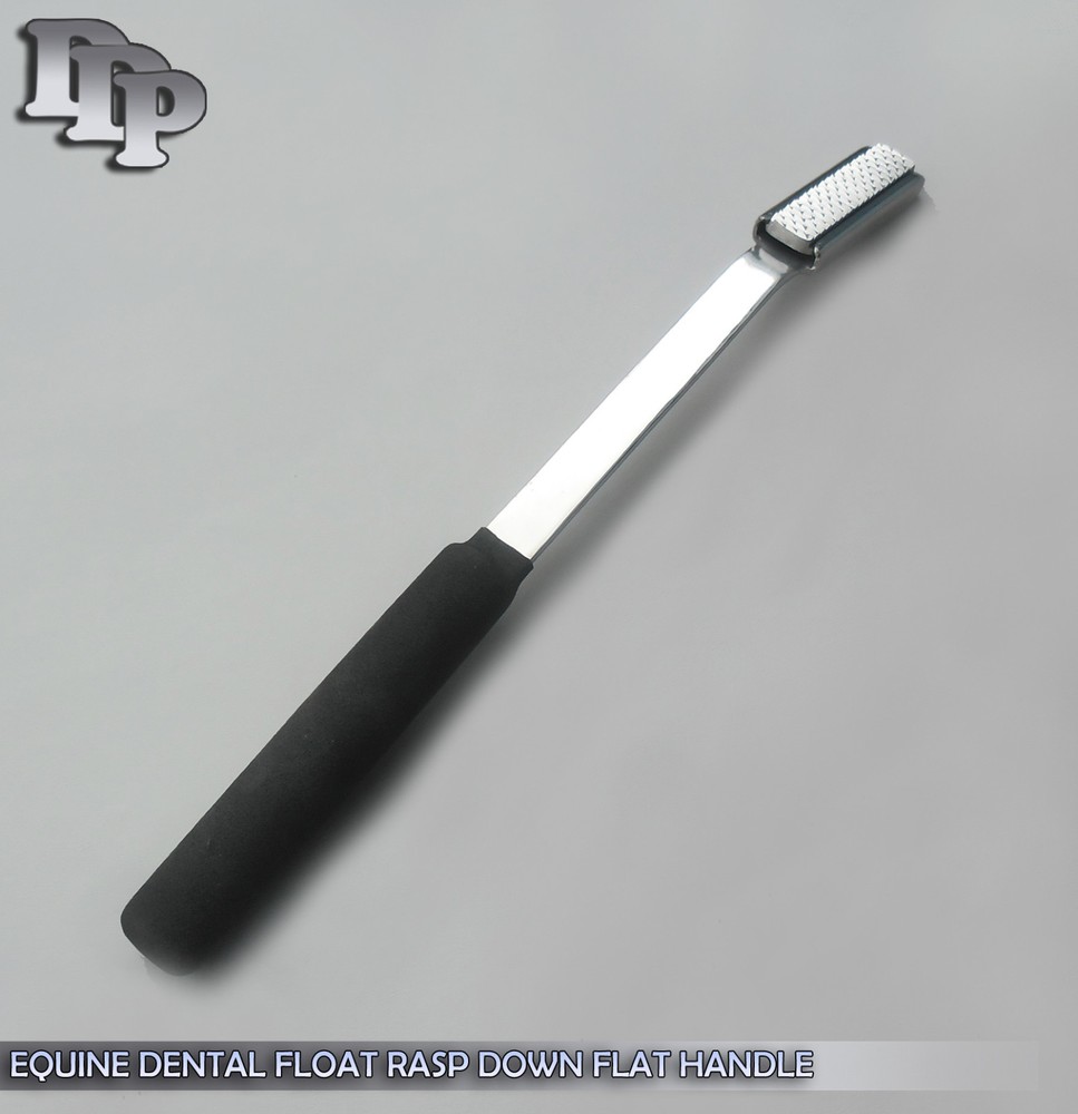 EQUINE DENTAL FLOAT RASP DOWN FLAT HANDLE Instruments