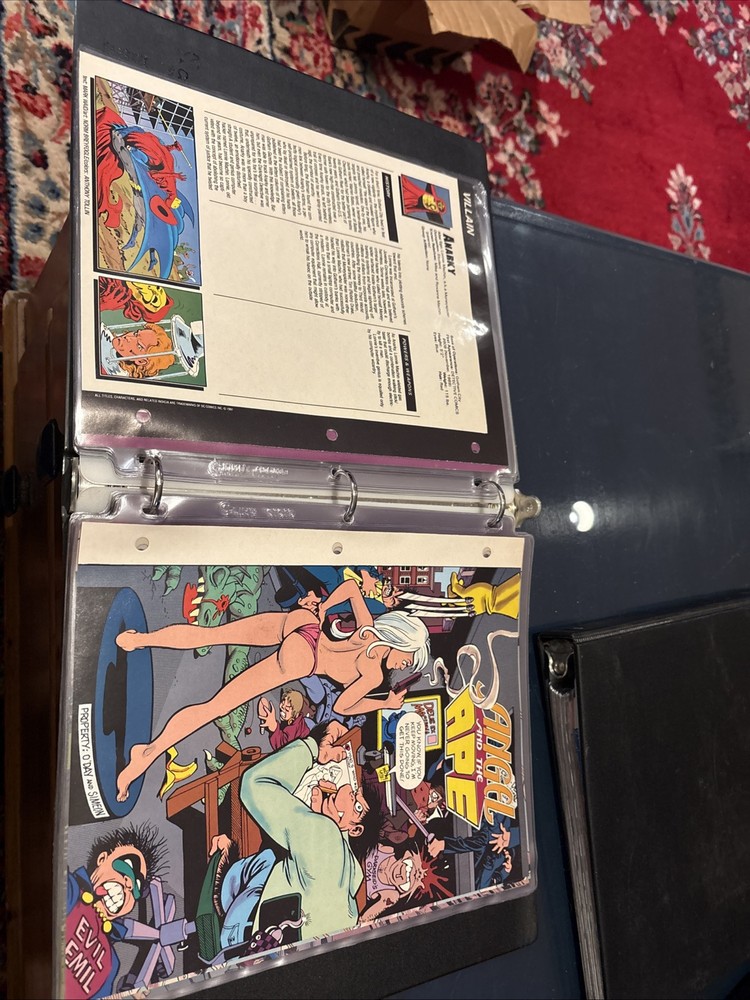 Comic Book Bio Binder