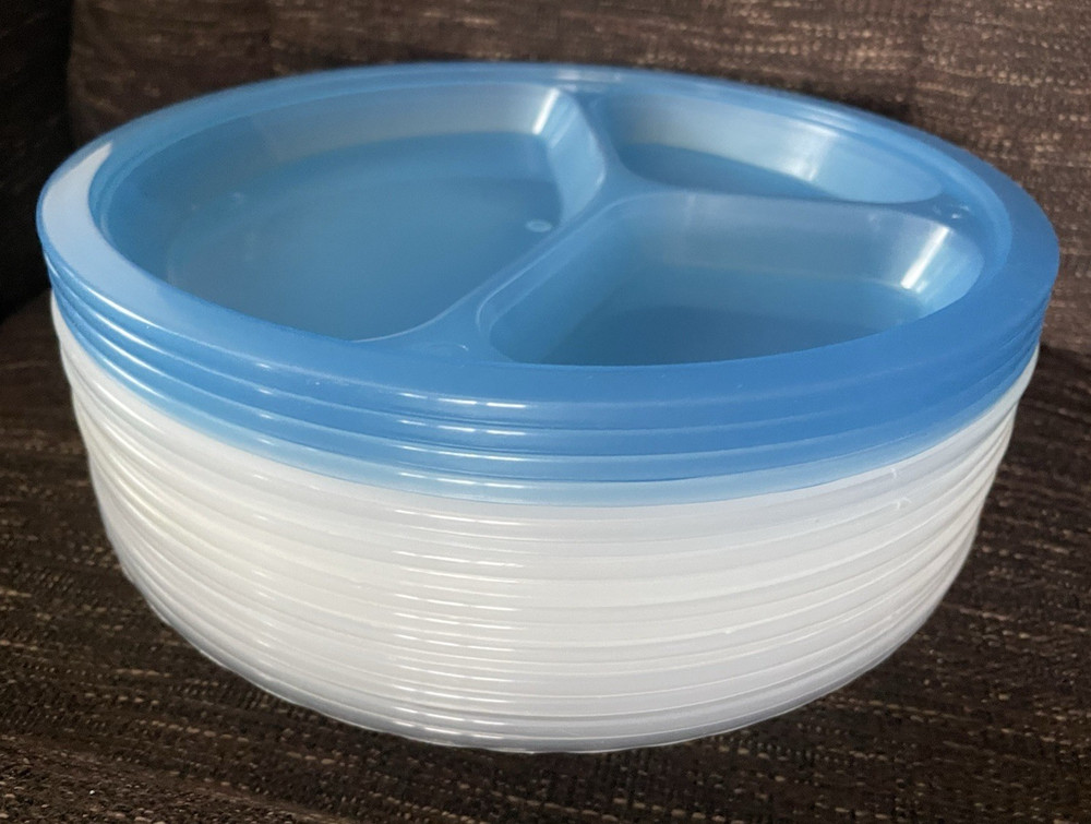 Reusable Divided Plastic Dinner Plates, Stackable, Camp & Outdoor BBQ, 10" wide