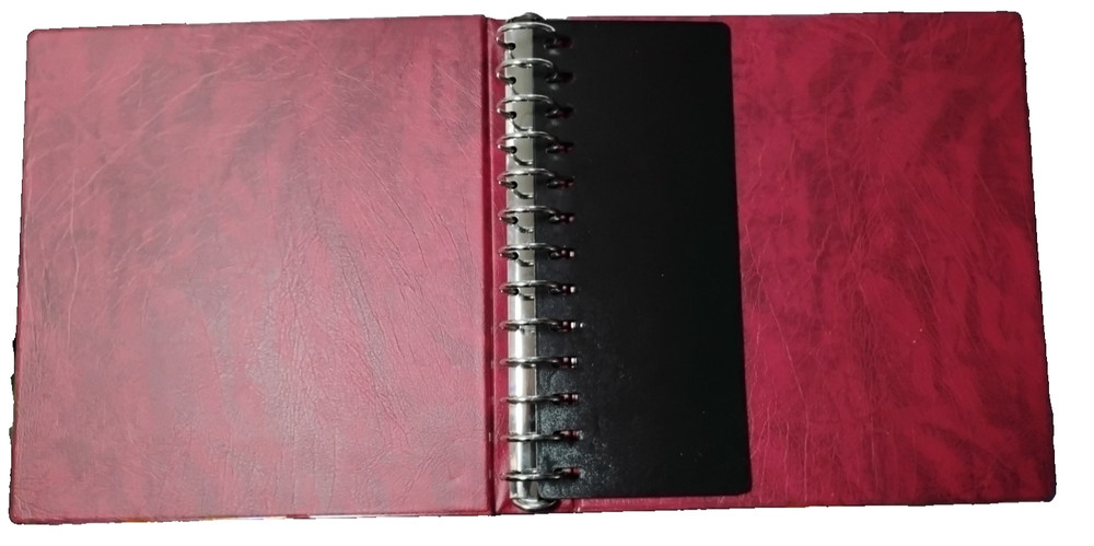 SCOTT PLATINUM BINDER AND SLIPCASE