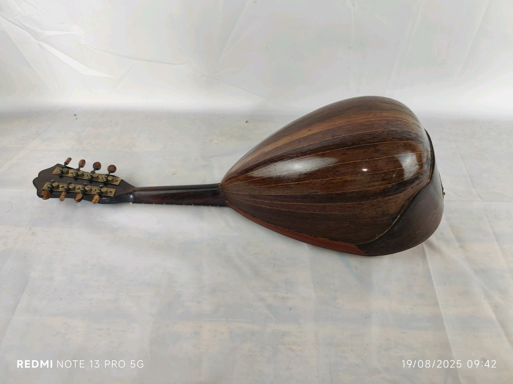 Mandolin 4/4 Alberti 1910 Rome 曼陀林 만돌린マンドリン