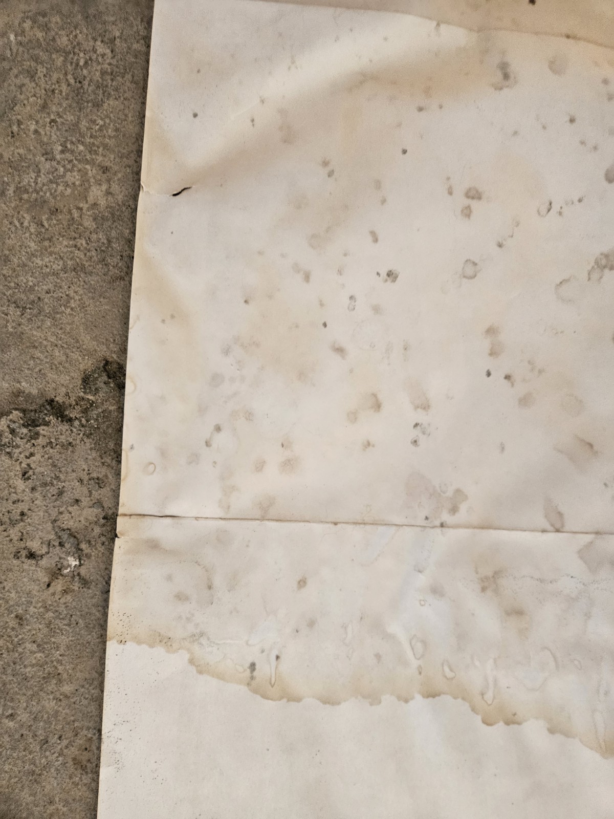 Vintage Original Riot On Sunset Strip 1967 Movie Film Poster SEE DAMAGE RARE🌴🎬