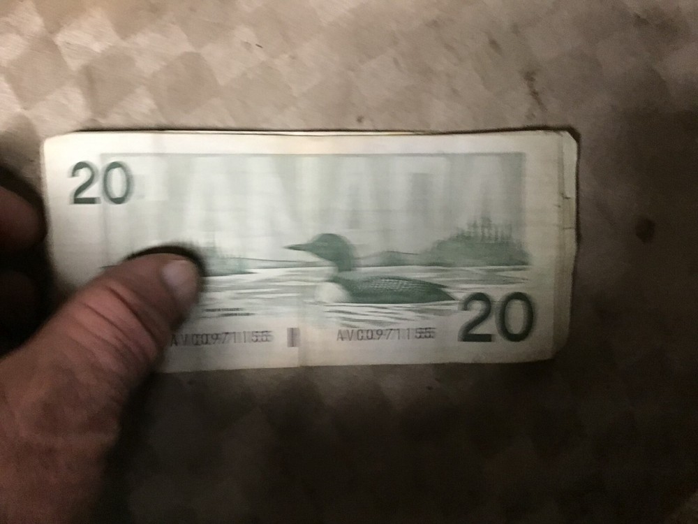 1991 Canada $20 Dollar Note $20 Bill, 1 Note