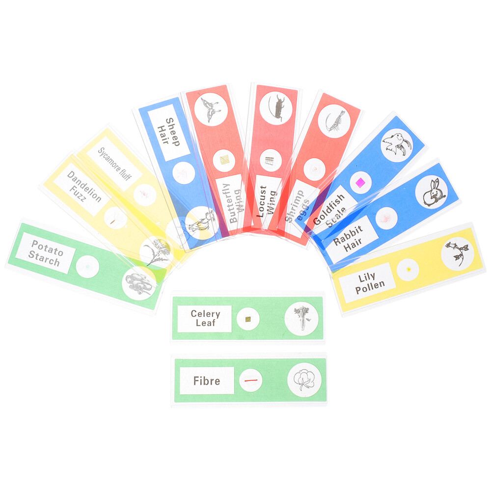 36pcs Microscope Sample Slide Plant Sample Specimen Kid Science Toy