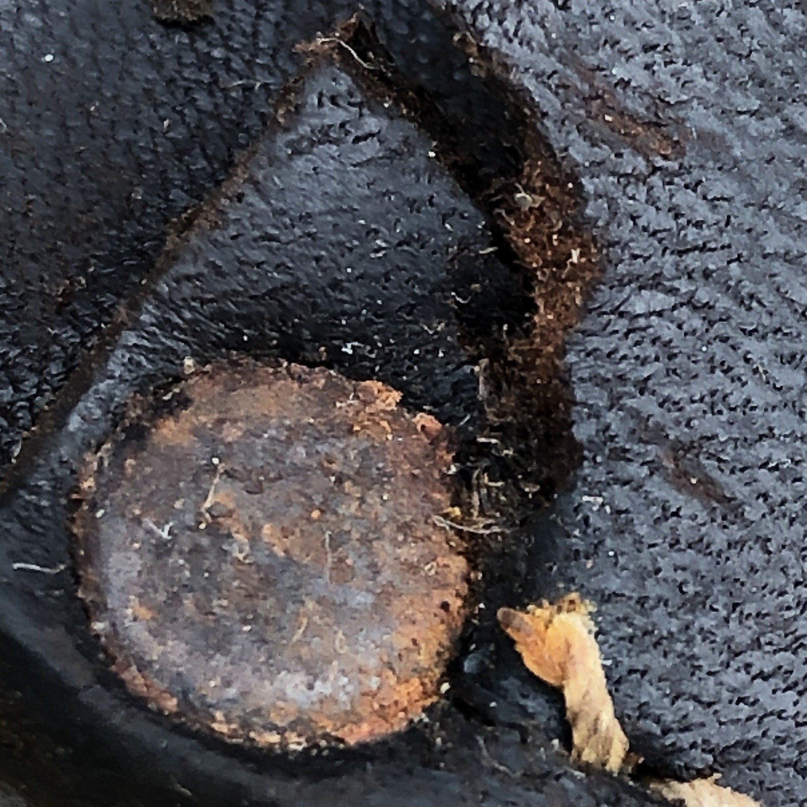 Old M-5 Leather Sheath for Fixed Blade Knife. (for Military Fighting Knife?)