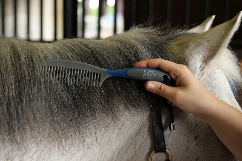 Oster Comb Mane & Tail Blue