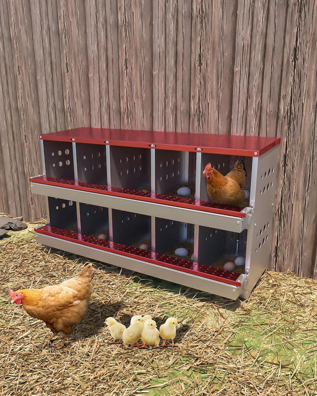 10 Holes Chicken Nesting Boxes Wall-Mount Roll Away Chicken Egg Laying Box US