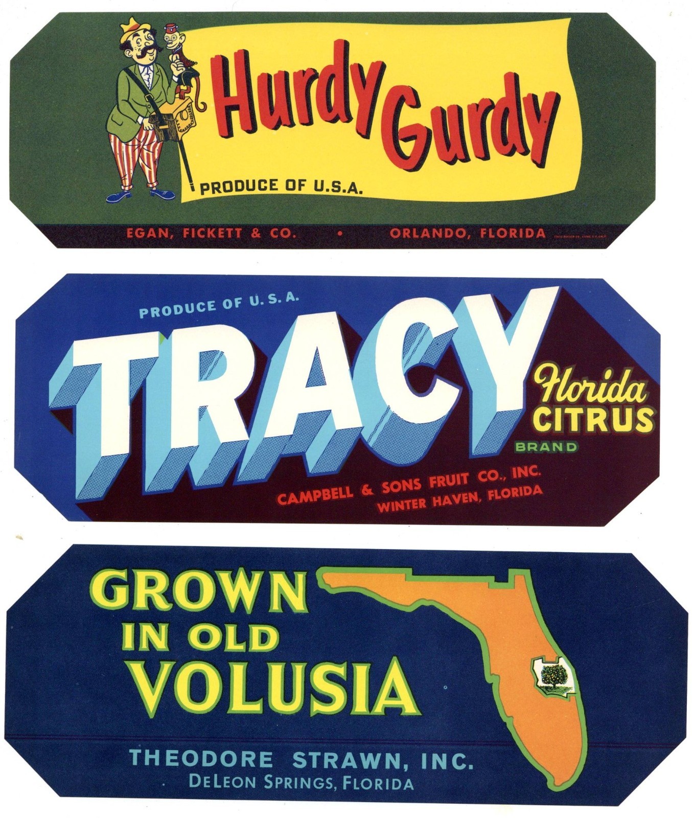 Collection of 25 Different Florida Citrus Labels **ORIGINAL FRUIT CRATE LABELS**