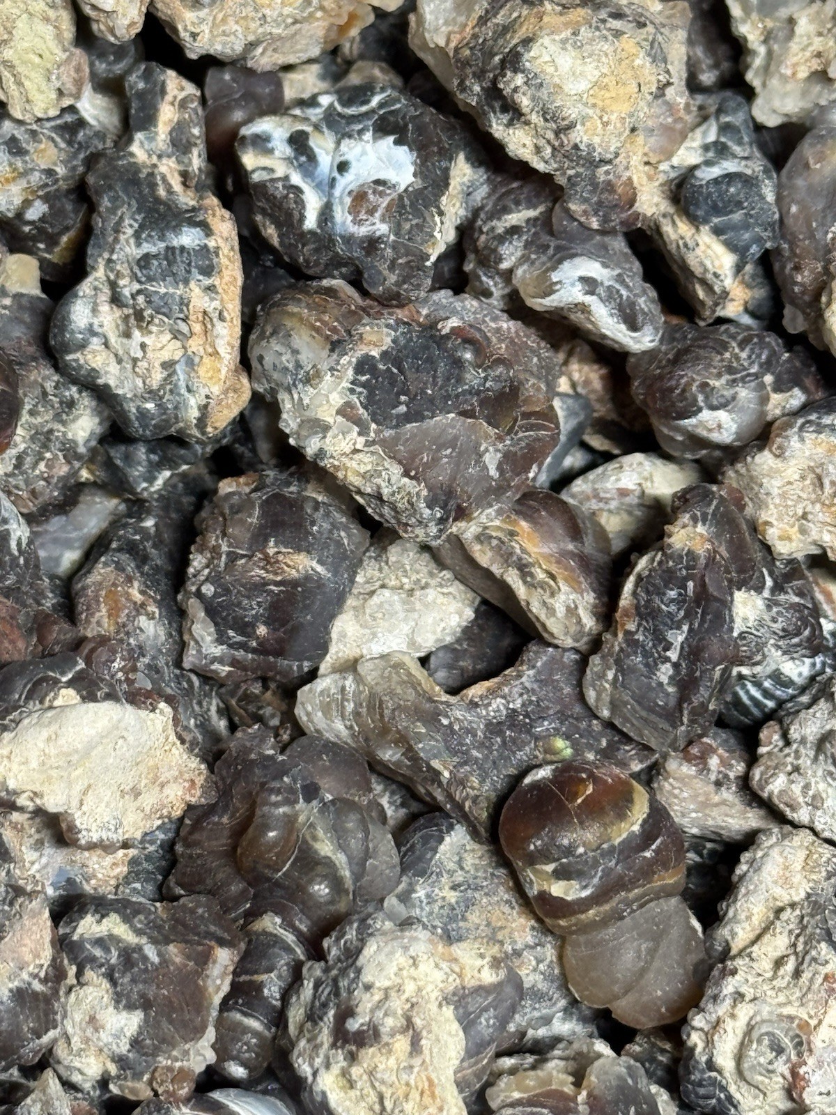 1/2 Lb Mid to Choice Grade Fire Agate Smalls Untreated Colorful Blind Grab Rough