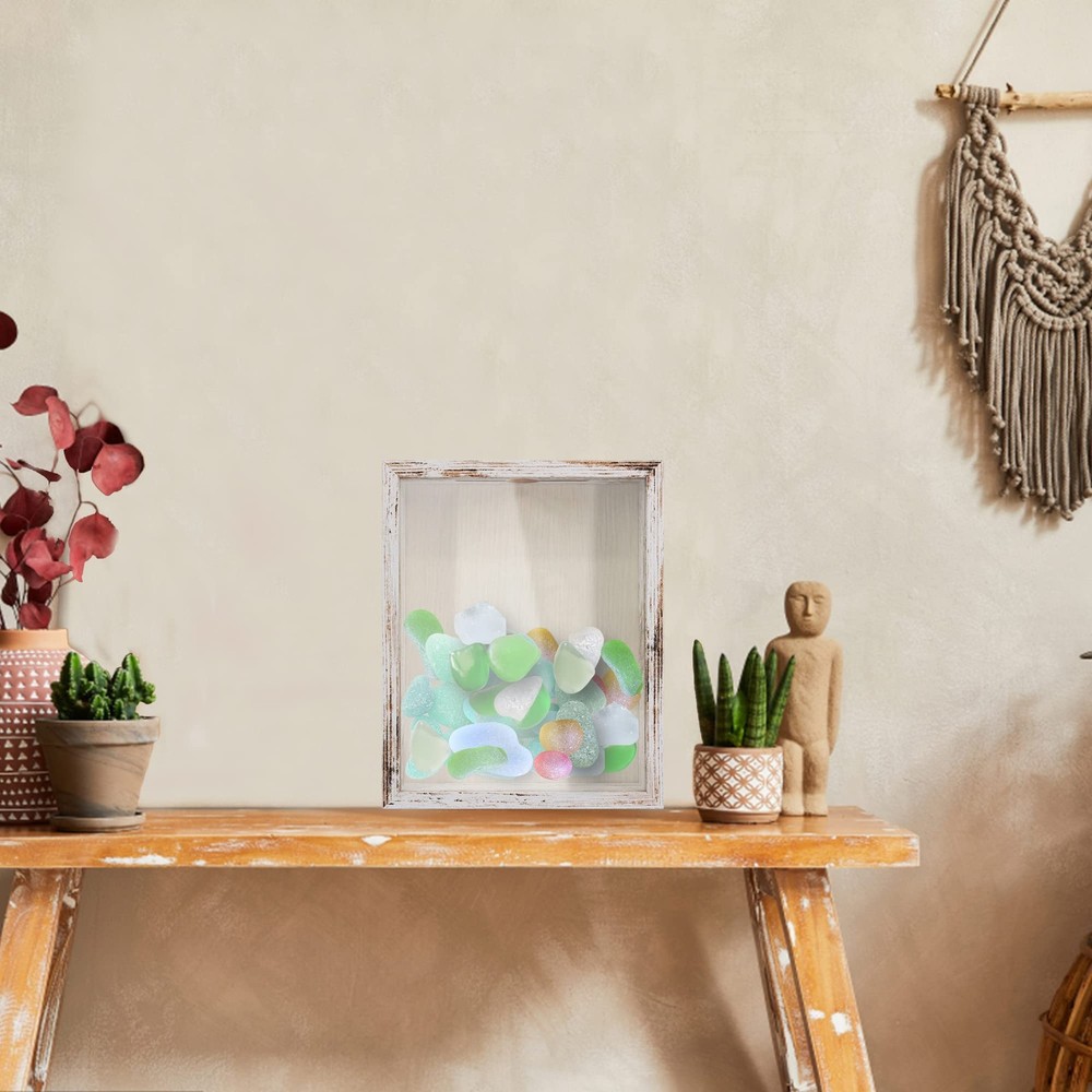 Small Shadow Box Seashell Collection White 8x10 Top Loading Display Case Frame