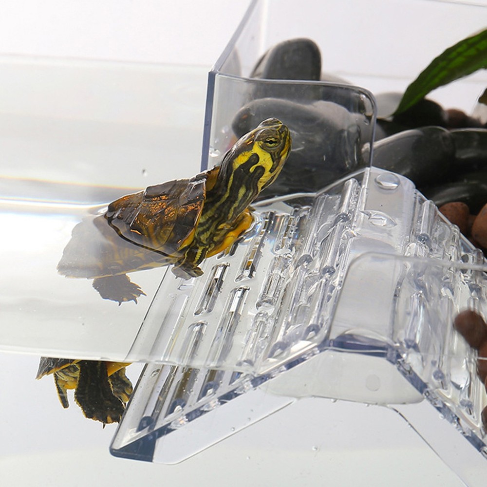 Fish Tank Platform Turtle Basking Dock Turtle Basking Area Reptile Platform