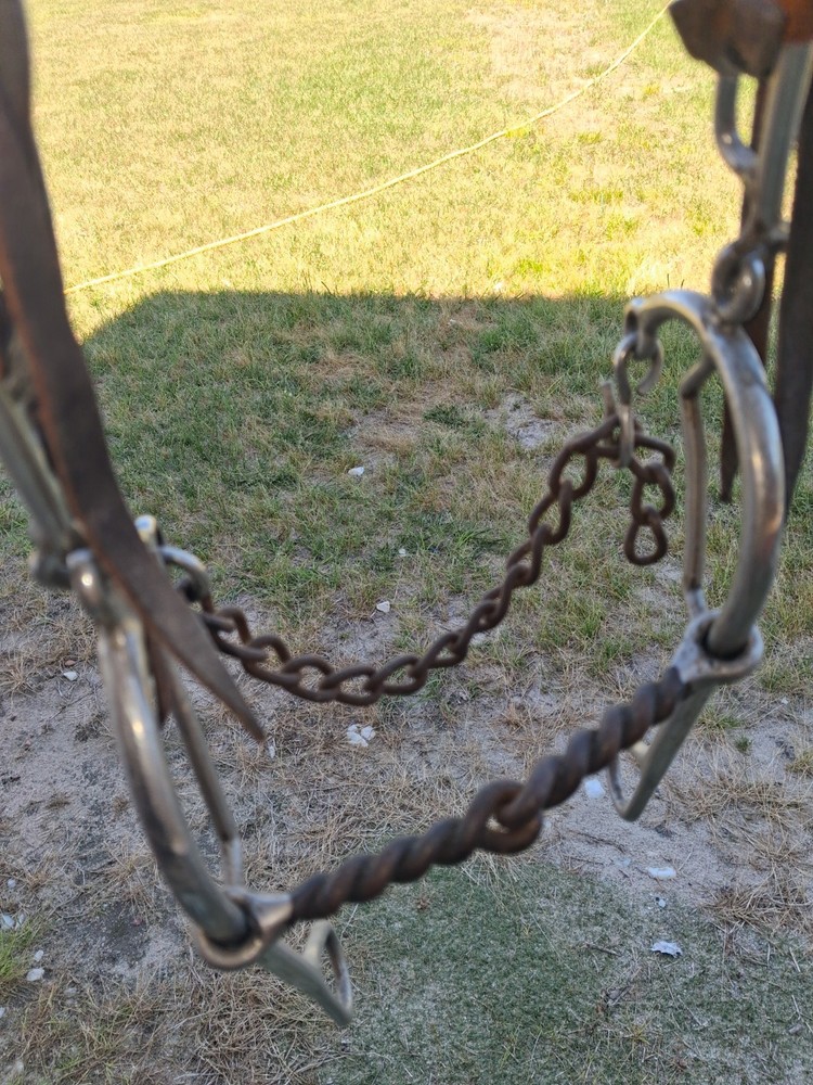headstall with combination bit