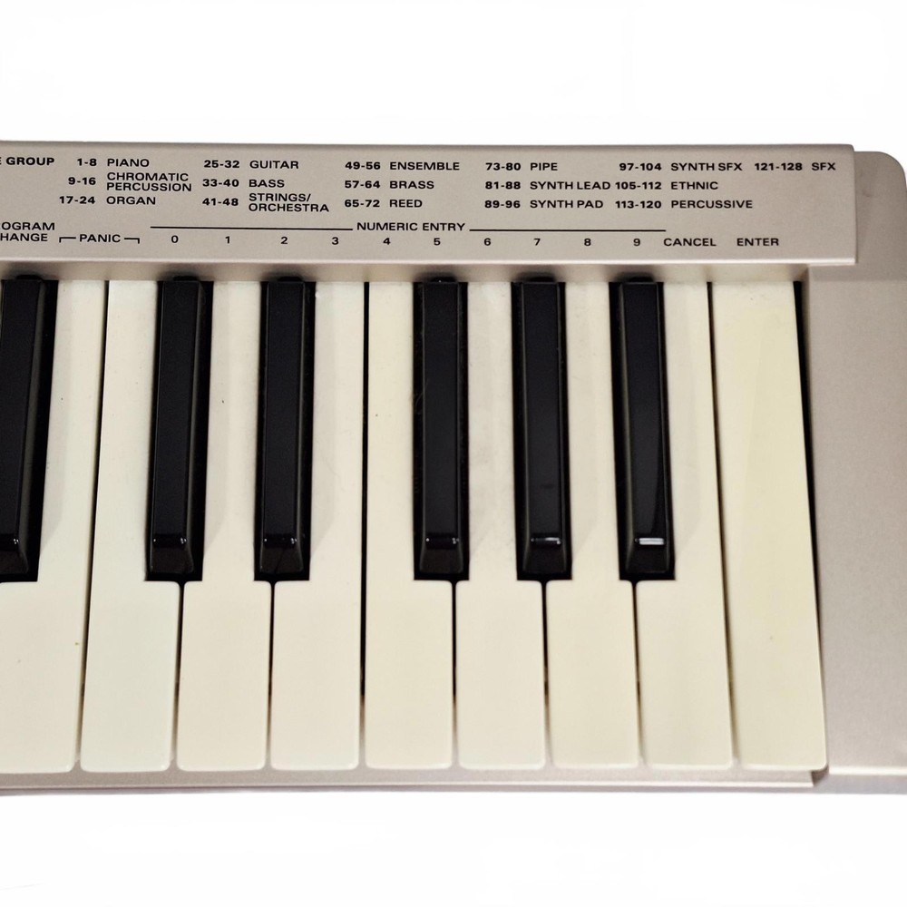 Roland Ed PC-300 USB Midi Electric Keyboard Controller