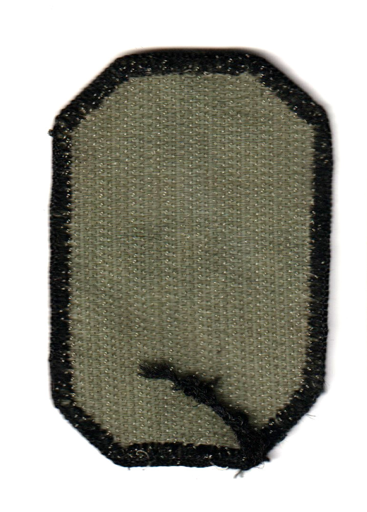 US ARMY 371st SUSTAINMENT BRIGADE Subdued Hook/Loop Patch