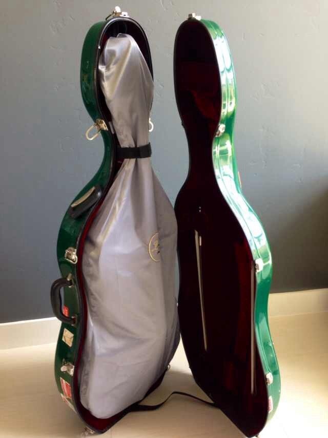 Cello silk cover bag