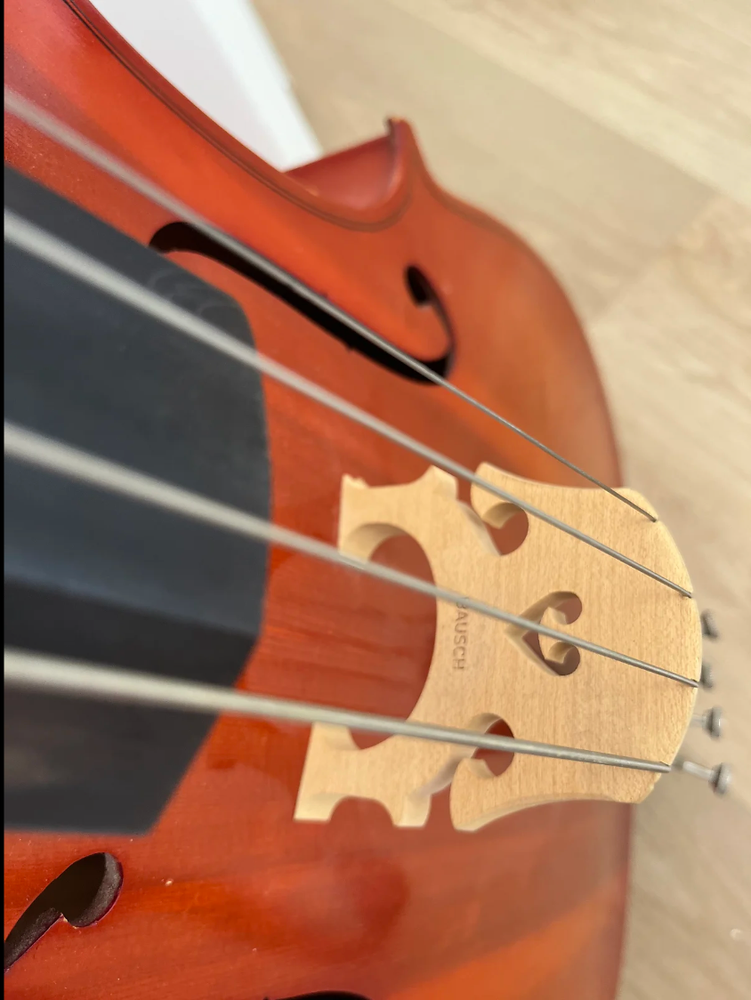 Cello: Selmer Aristocrat Model AR224 SERIAL #A1565