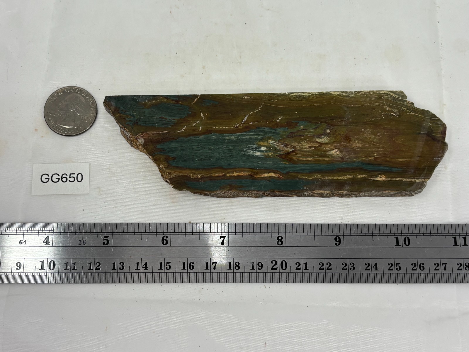 Gary Green Caldera Freedom Jasper Slab Cabbing Lapidary Combo Ship Avail