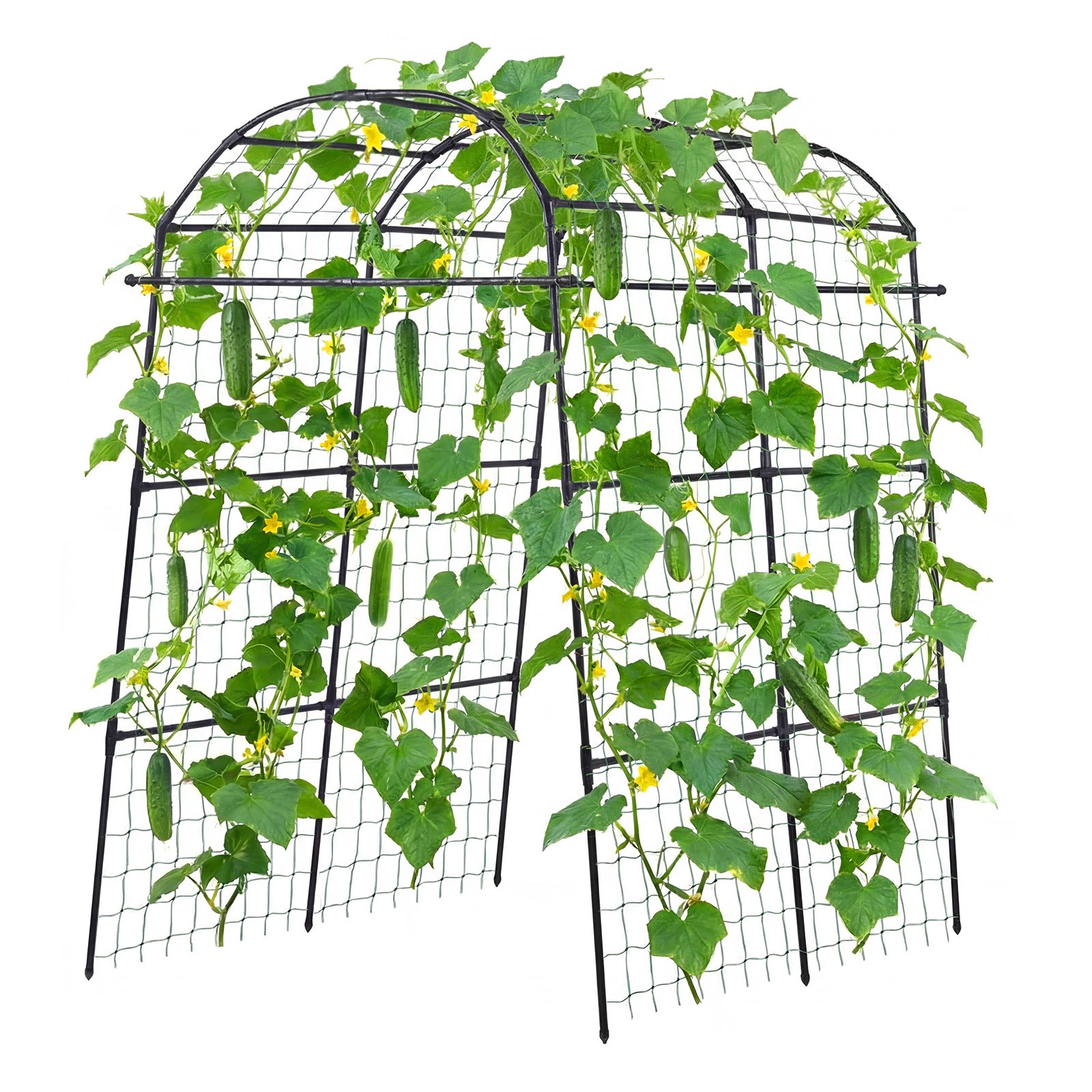 Uimoso Metal Garden Trellis for Cucumber Vines Bean U-Shape 70.87"x44.09"x82.99"