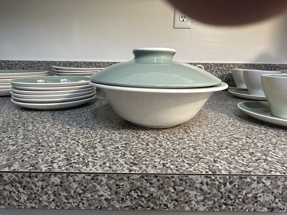 Harkerware Ivy Wreath Complete Set for 6 PLUS Serving Dishes